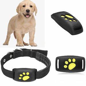collar GPS perros  Perros, Tipos de perros, Gatos